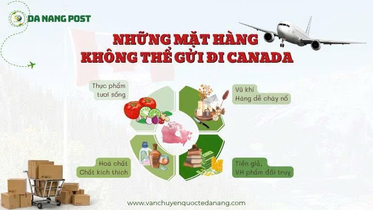 Mặt hàng không được phép gửi đi Canada